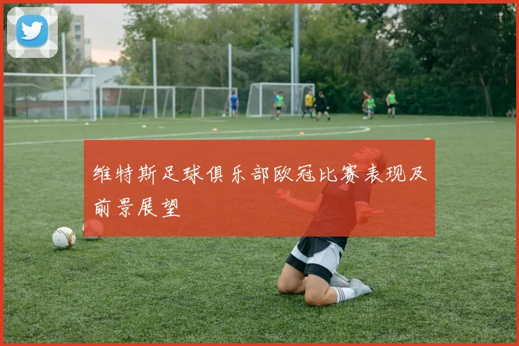 维特斯足球俱乐部欧冠比赛表现及前景展望